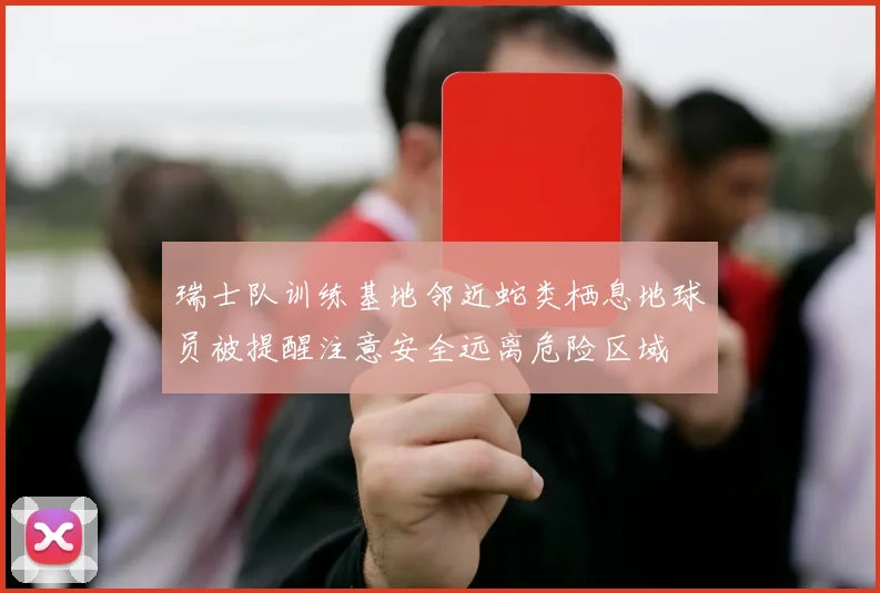 瑞士队训练基地邻近蛇类栖息地球员被提醒注意安全远离危险区域