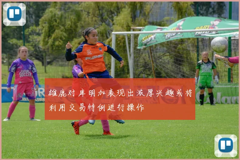 雄鹿对库明加表现出浓厚兴趣或将利用交易特例进行操作
